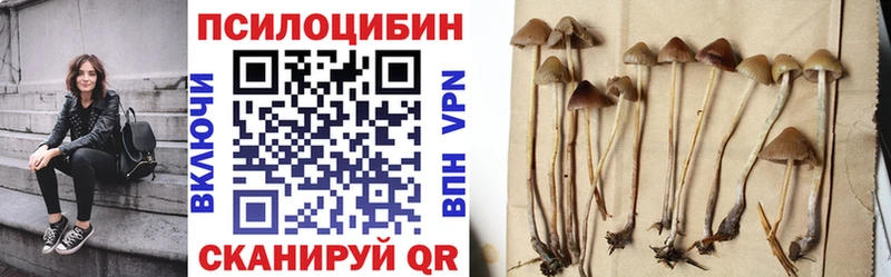 где продают   Мыски  Галлюциногенные грибы Magic Shrooms 